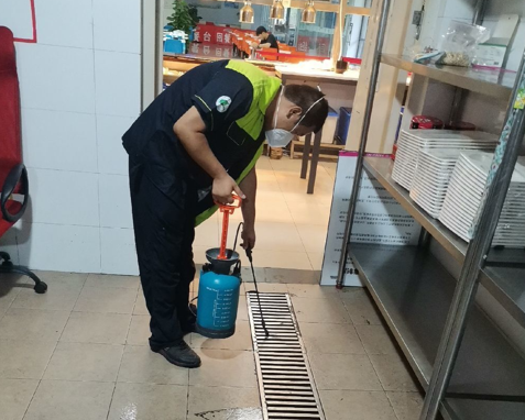 滅鼠最快最有效的方法？如何選擇北京消殺公司