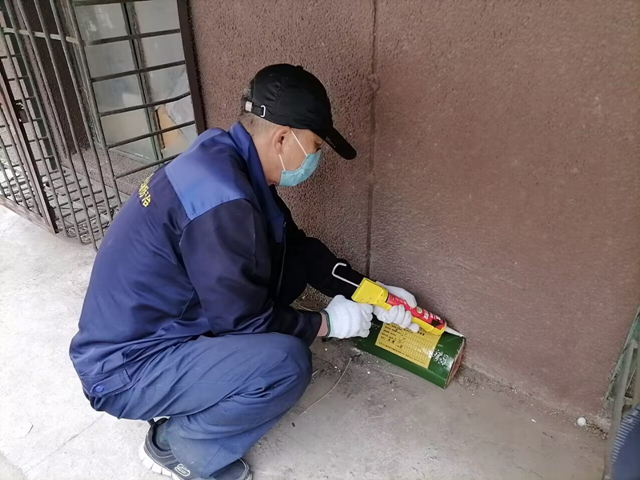 裕龍中央別墅區(qū)除四害公司400-619-6022衛(wèi)士康北京各區(qū)域滅蚊蠅捕鼠滅蟑螂