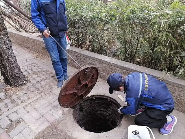 月壇展覽路滅蟑螂殺蟲(chóng)公司400-619-6022衛(wèi)士康北京快速上門(mén)除四害