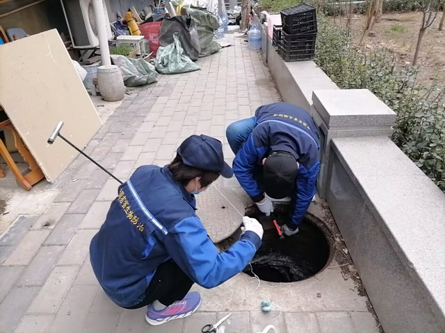 化學(xué)防治飛蟲400-619-6022衛(wèi)士康五彩城消殺四害