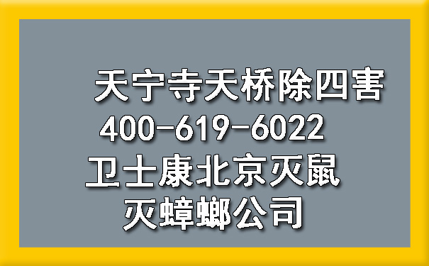 天寧寺天橋除四害400-619-6022衛(wèi)士康北京滅鼠滅蟑螂公司