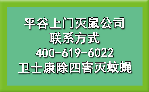 平谷上門(mén)滅鼠公司聯(lián)系方式400-619-6022衛(wèi)士康除四害滅蚊蠅