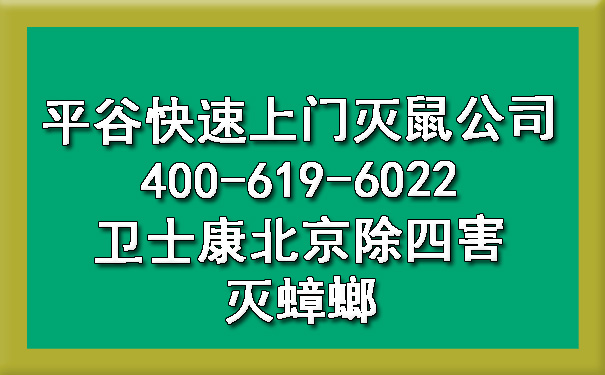 平谷快速上門滅鼠公司400-619-6022衛(wèi)士康北京除四害滅蟑螂