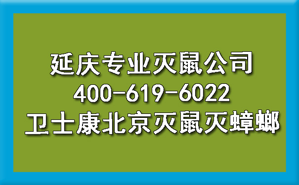 延慶專業(yè)滅鼠公司400-619-6022衛(wèi)士康北京滅鼠滅蟑螂