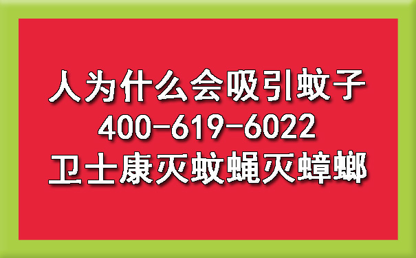 2024年人為什么會(huì)吸引蚊子400-619-6022衛(wèi)士康滅蚊蠅滅蟑螂