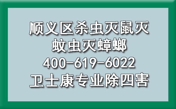 順義區(qū)殺蟲滅鼠滅蚊蟲滅蟑螂400-619-6022衛(wèi)士康專業(yè)除四害