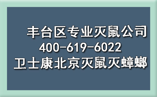 豐臺(tái)區(qū)專業(yè)滅鼠公司400-619-6022衛(wèi)士康北京滅鼠滅蟑螂
