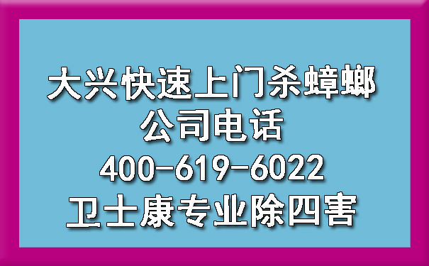 大興快速上門殺蟑螂公司電話400-619-6022衛(wèi)士康專業(yè)除四害